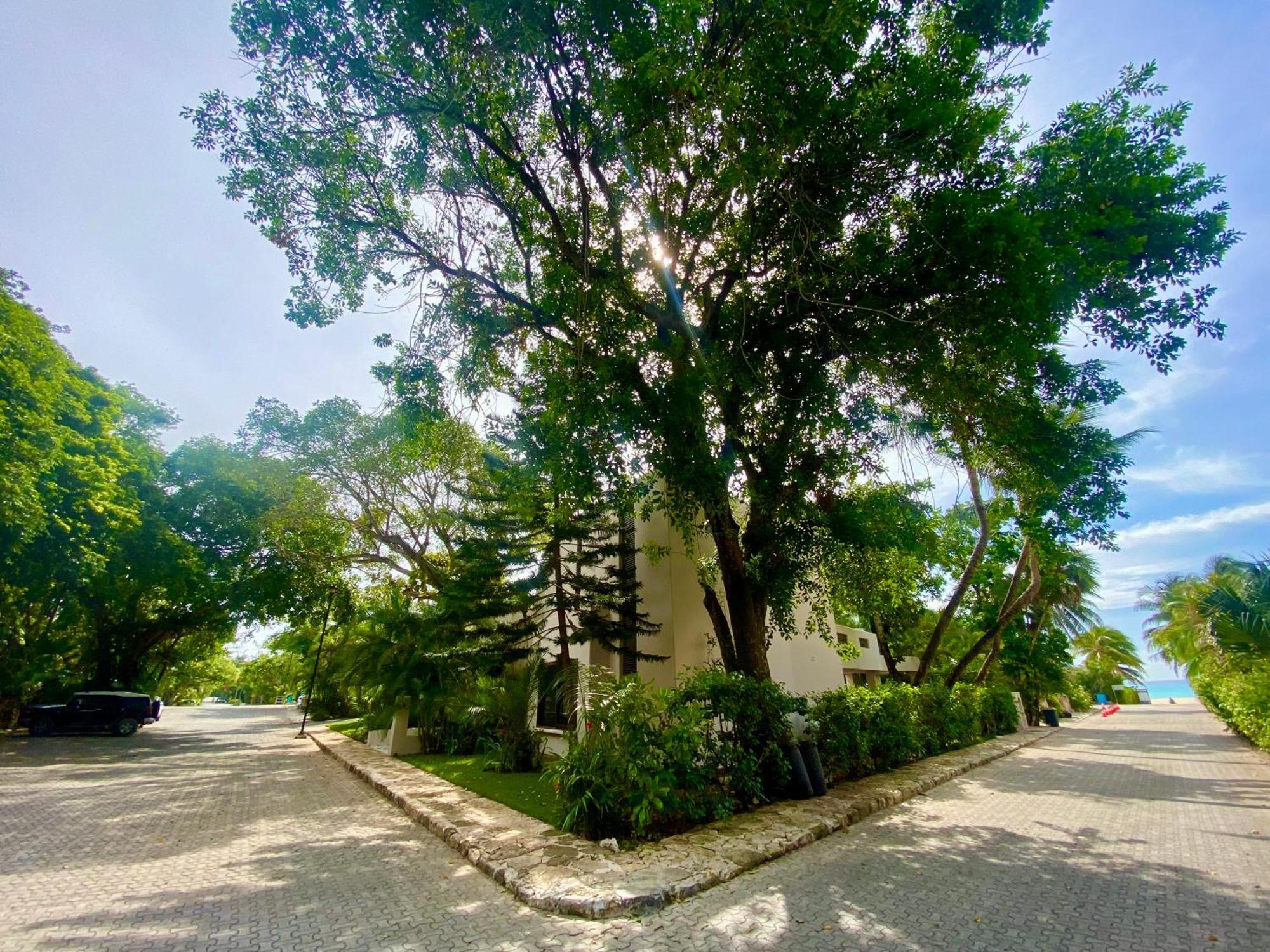 Villa Almendra Playacar 1 Playa del Carmen Kültér fotó